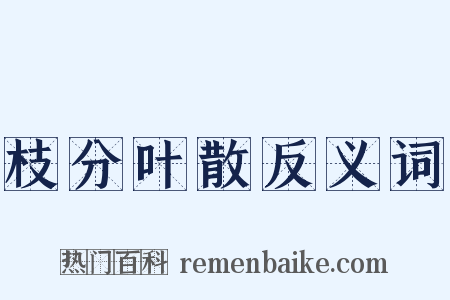 枝分叶散反义词是什么意思的图片